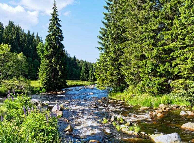 Zusammenfluss von Modravský potok und Roklanský potok zur Vydra bei Modrava