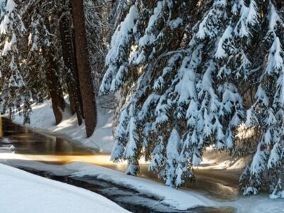 Winter am Vchynicko-tetovský plavební kanál
