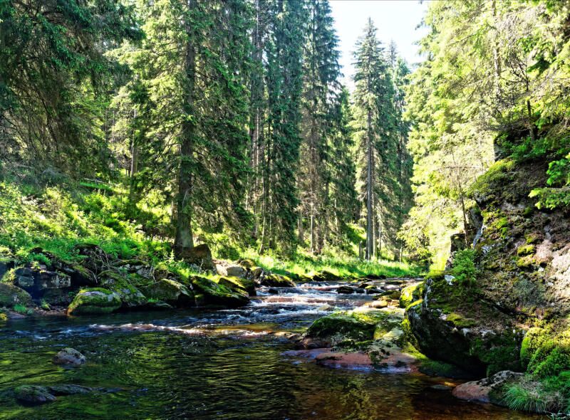 Die Vydra bei Modrava hat sich tief in den Felsen eingegraben