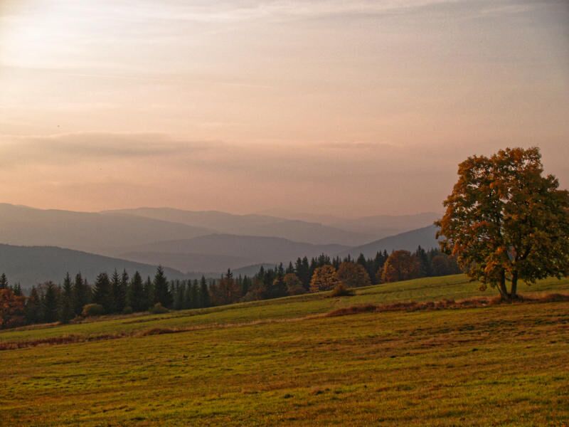 Blick über den Böhmerwald bei Zhuri
