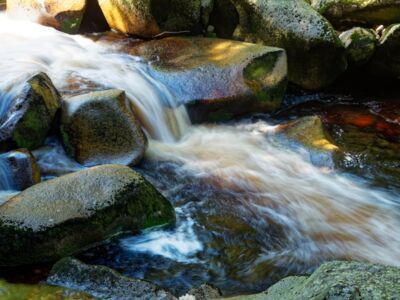 An der wilden Vydra