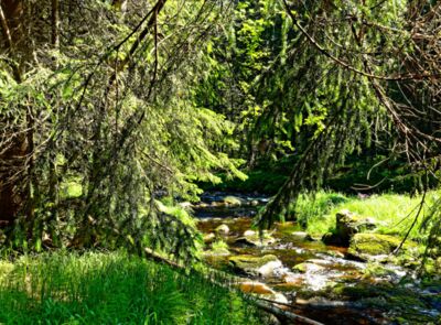 Erste Wanderung zwischen Modrava und dem Wehr