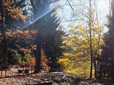 Im Böhmerwald
