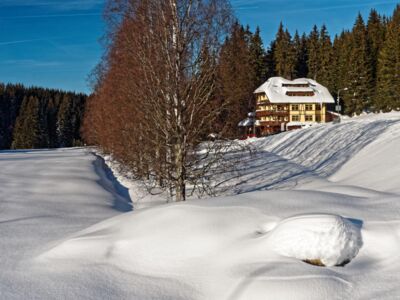 Hotel Modrava