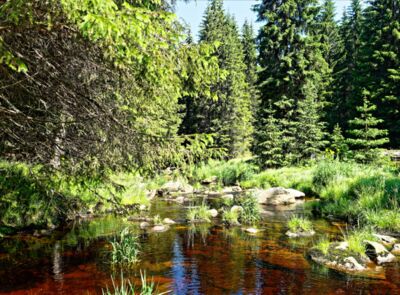 Erste Wanderung zwischen Modrava und dem Wehr