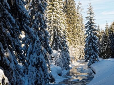 Winter am Vchynicko-tetovský plavební kanál