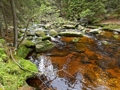 Erste Wanderung