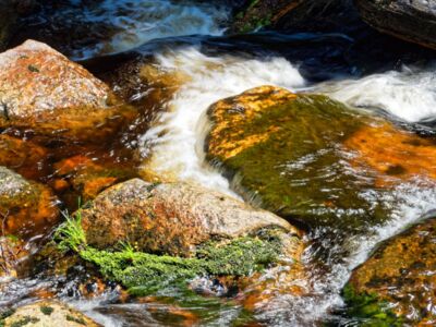 Erste Wanderung zwischen Modrava und dem Wehr