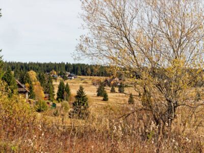 Im Böhmerwald