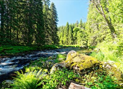 Erste Wanderung zwischen Modrava und dem Wehr